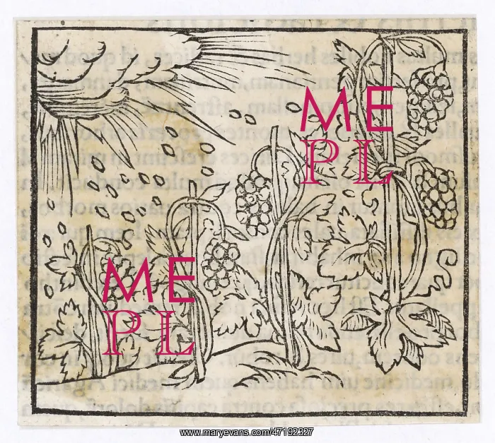  : FOOD AND DRINK / WINE / 1553