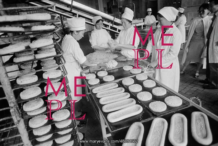 : Food Factory : Food Factory