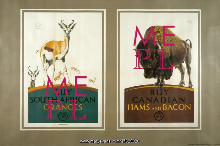 : Food posters : Food posters
