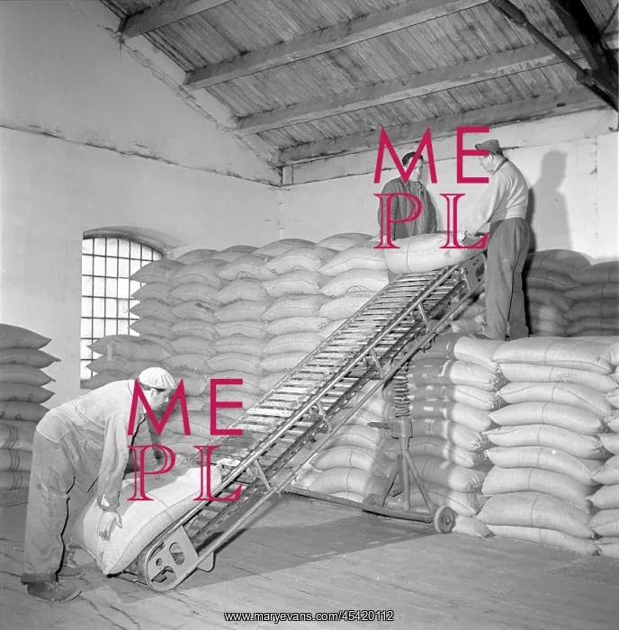 : Food storage - wholesale - sacks - perishable goods : Food storage - wholesale - sacks - perishable goods