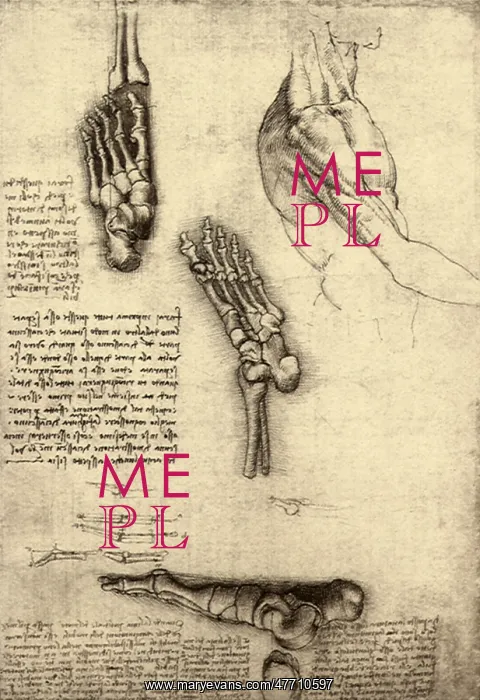  : Foot and Toe Functions