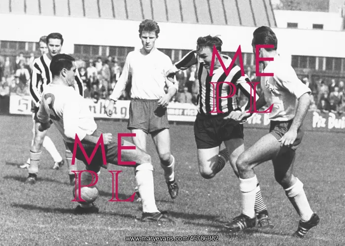: Football match Wacker Vienna - GAK : Football match Wacker Vienna - GAK