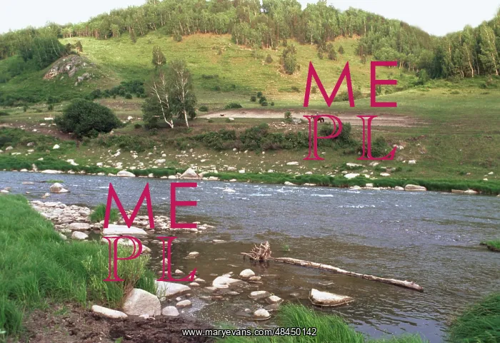 : Foothills of Kuznetsk Alatau, 1999 : Foothills of Kuznetsk Alatau, 1999