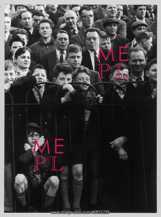 : FOOTIE FANS : FOOTIE FANS