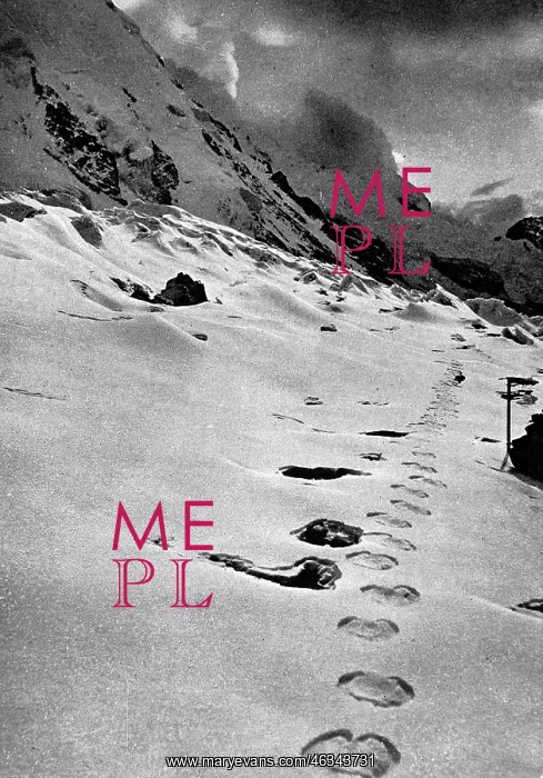 : Footprints of a mysterious creature in the Himalayan mountai : Footprints of a mysterious creature in the Himalayan mountai