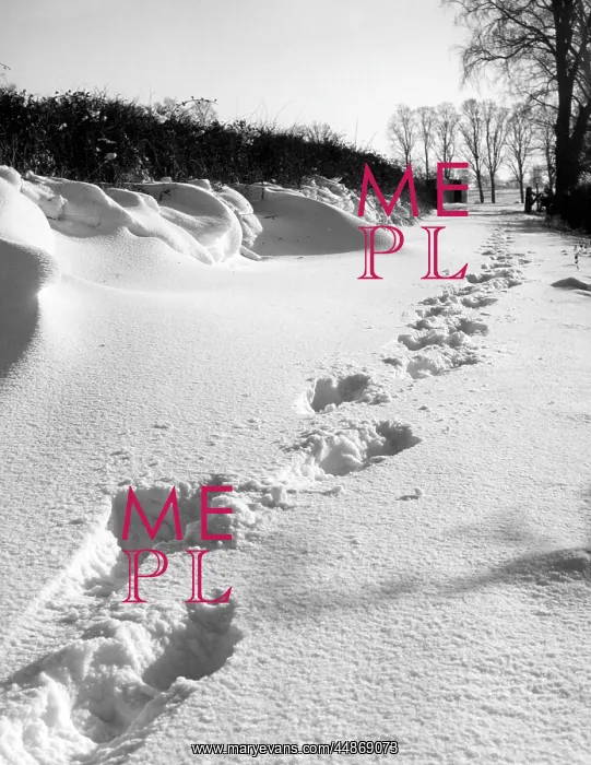  : FOOTPRINTS IN THE SNOW