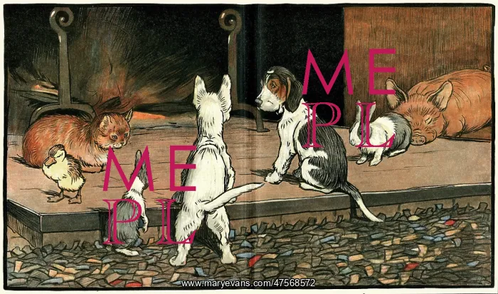 : Forager the puppy joins the other animals by the fire : Forager the puppy joins the other animals by the fire
