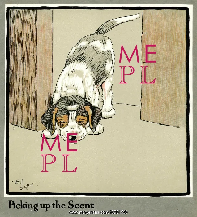 : Forager the puppy picks up a scent : Forager the puppy picks up a scent