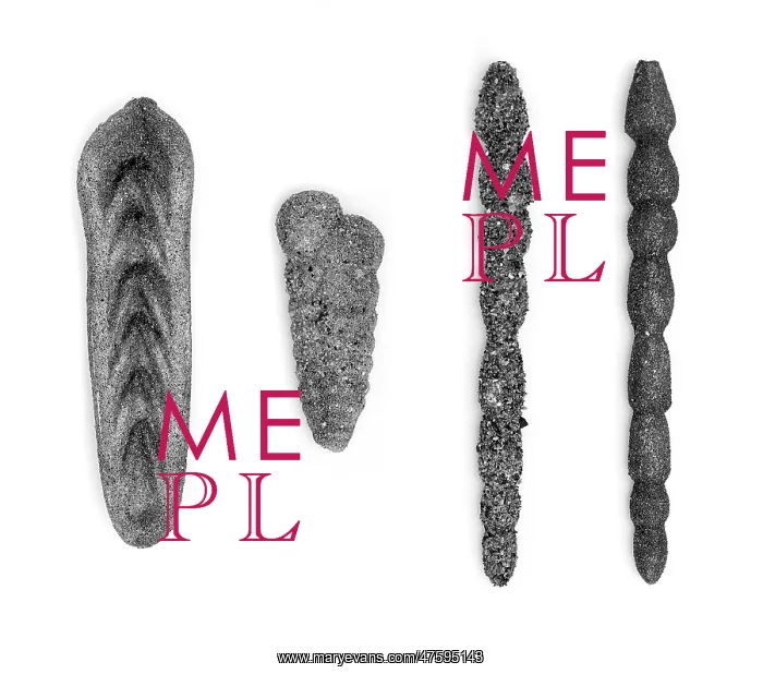 : Foraminifera models : Foraminifera models