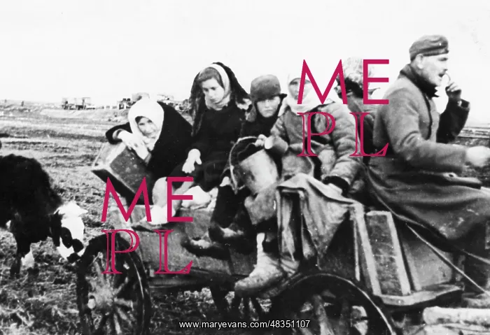 : Forced displacement on the Eastern Front, 1942 : Forced displacement on the Eastern Front, 1942