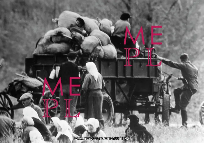 : Forced displacement on the Eastern Front, 1942 : Forced displacement on the Eastern Front, 1942
