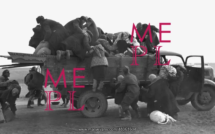 : Forced displacement on the Eastern Front, 1942 : Forced displacement on the Eastern Front, 1942