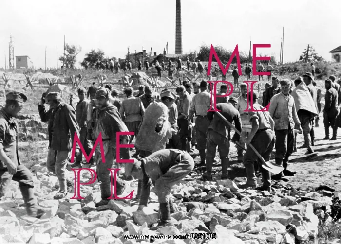  : Forced labor on the Eastern Front, 1943