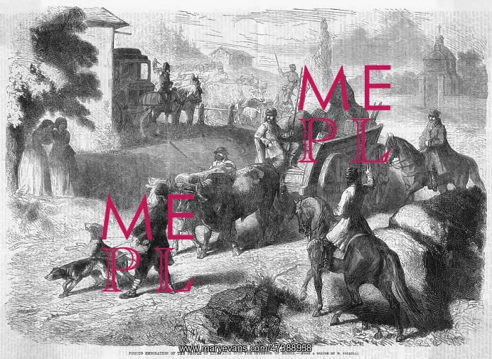: FORCED MIGRATION 1864 : FORCED MIGRATION 1864