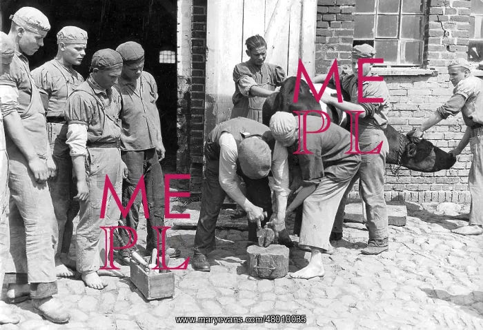: Forced workers are retrained for agriculture (1942) : Forced workers are retrained for agriculture (1942)