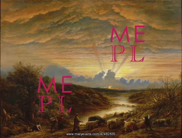 : The Ford ' with cattle and sunset : The Ford ' with cattle and sunset