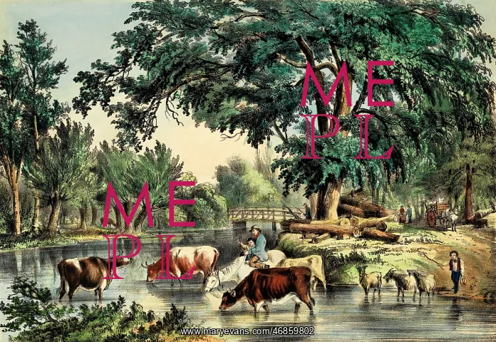 : Fording the River with a cattle drive : Fording the River with a cattle drive