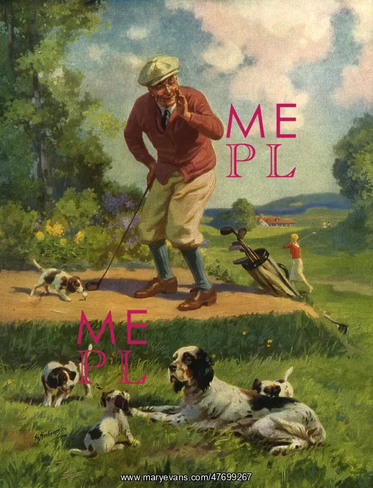  : Fore