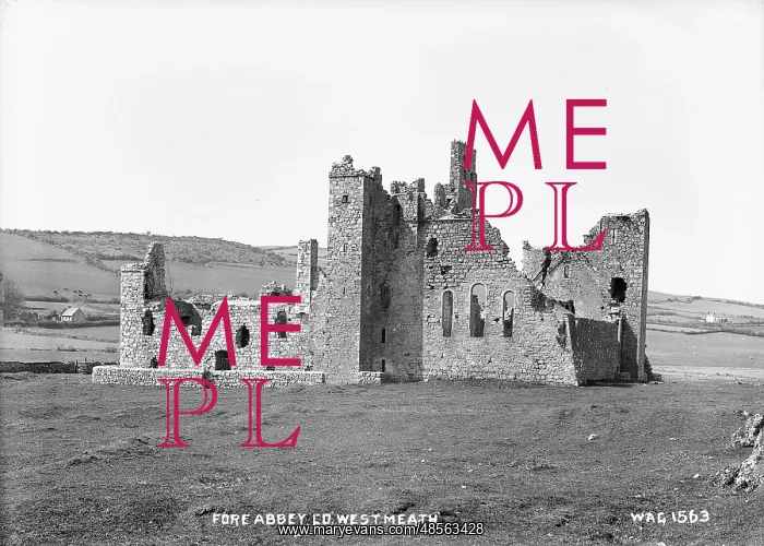 : Fore Abbey, Co. Westmeath : Fore Abbey, Co. Westmeath