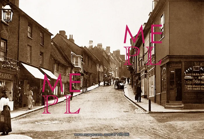  : Fore Street, Hatfield early 1900s