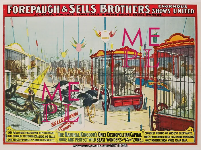 : Forepaugh & Sells Brothers - circus : Forepaugh & Sells Brothers - circus