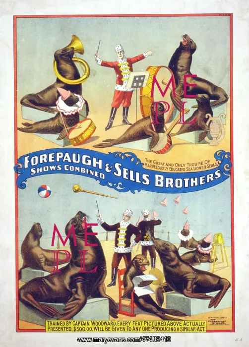 : Forepaugh & Sells Brothers shows combined : Forepaugh & Sells Brothers shows combined