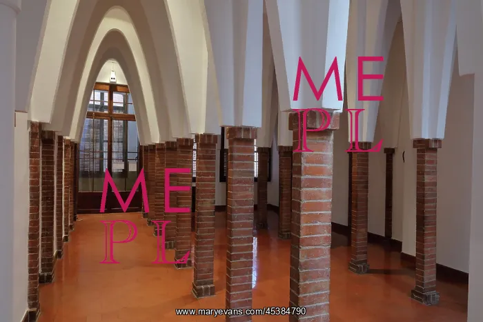 : Forest of Columns, Colegio Teresiano, Barcelona : Forest of Columns, Colegio Teresiano, Barcelona