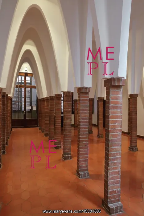 : Forest of Columns, Colegio Teresiano, Barcelona : Forest of Columns, Colegio Teresiano, Barcelona