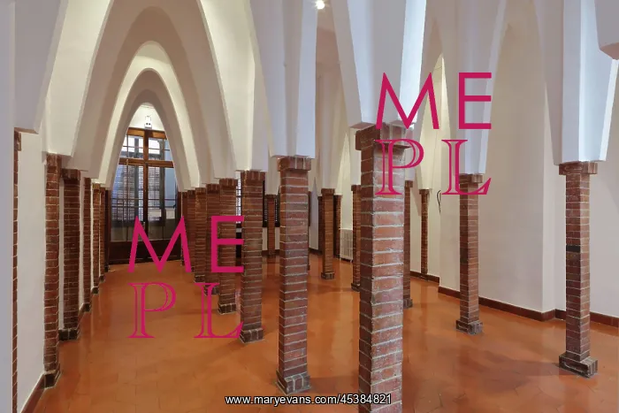 : Forest of Columns, Colegio Teresiano, Barcelona : Forest of Columns, Colegio Teresiano, Barcelona