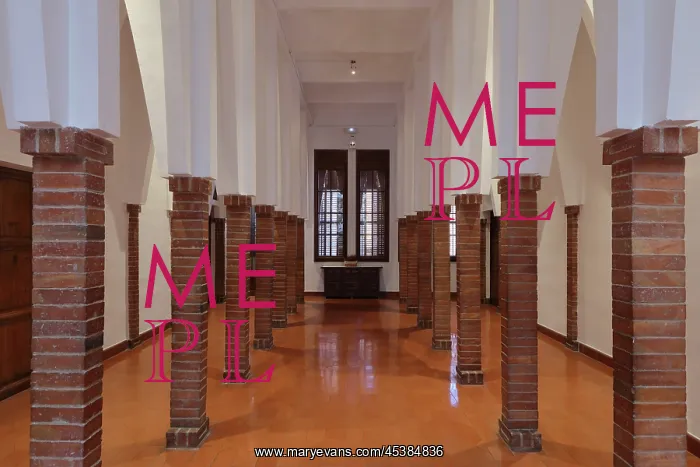 : Forest of Columns, Colegio Teresiano, Barcelona : Forest of Columns, Colegio Teresiano, Barcelona