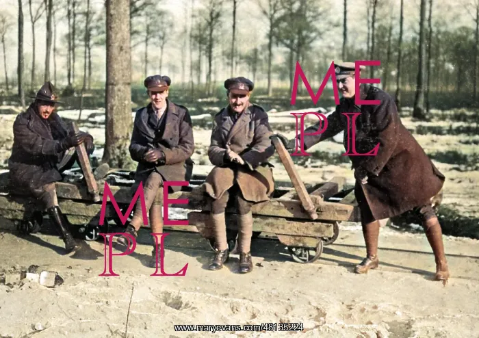 : Forest control officers, Western Front, WW1 : Forest control officers, Western Front, WW1