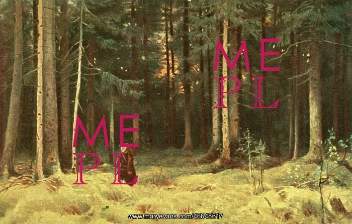 : The Forest of Countess Mordvinova, Russia : The Forest of Countess Mordvinova, Russia