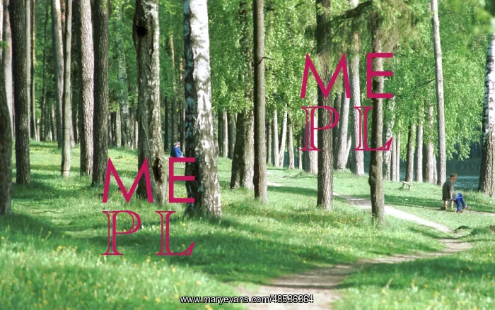 : Forest Lanes photo art work, 1992 : Forest Lanes photo art work, 1992