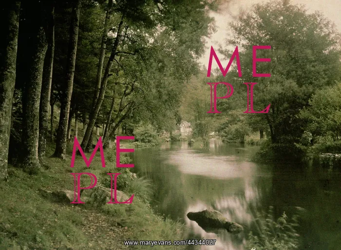 : The Forest of Love at : The Forest of Love at
