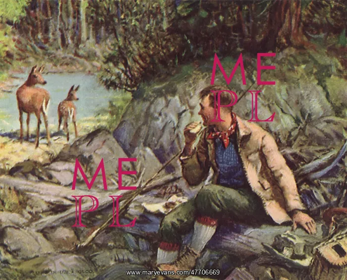  : Forest Moment