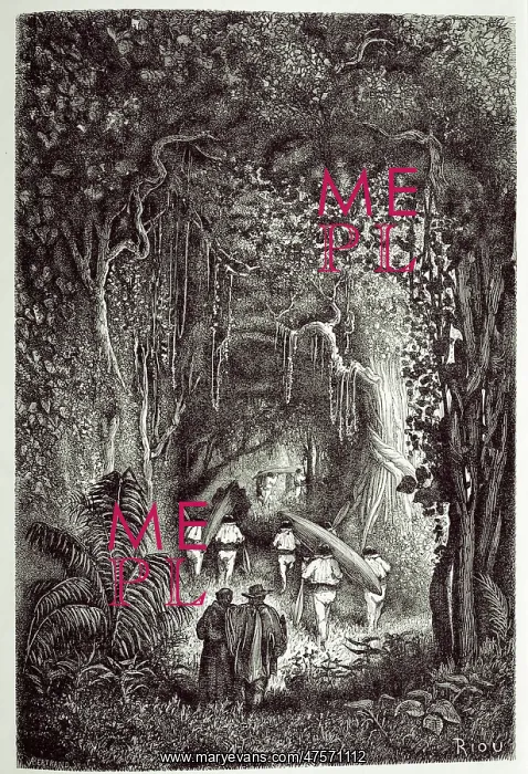 : Through the Forest to the Palta Lake : Through the Forest to the Palta Lake