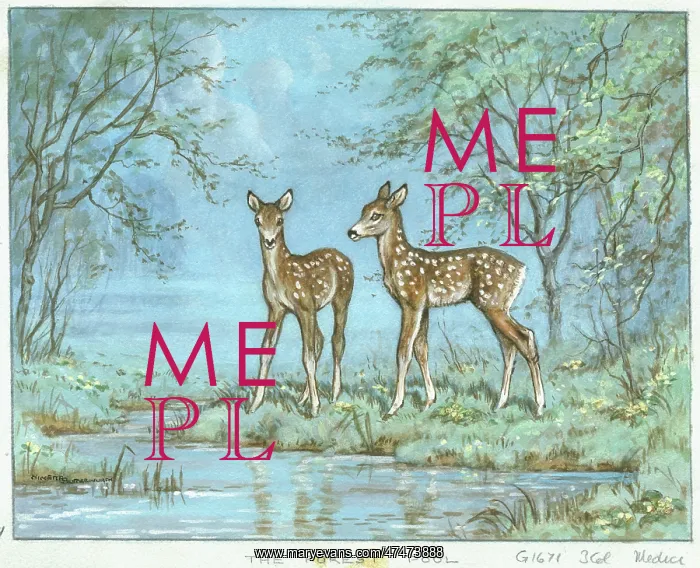  : The Forest Pool with deer