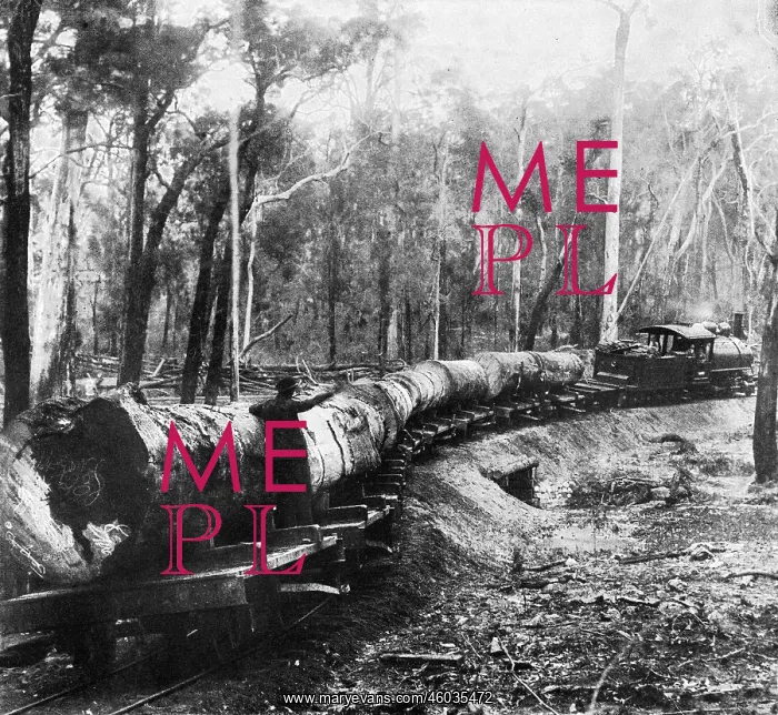 : Forest railway, Western Australia : Forest railway, Western Australia