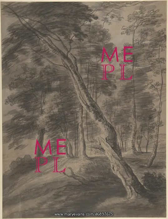 : Forest Scene with Tree in Foreground, 17th century : Forest Scene with Tree in Foreground, 17th century