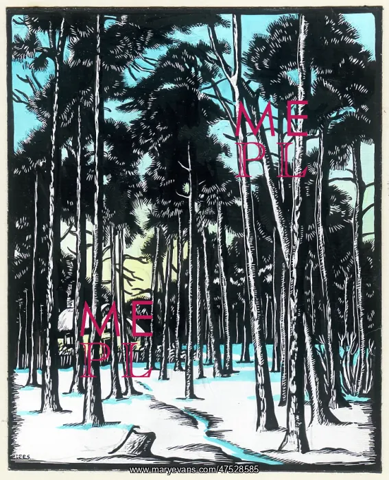  : Forest with Snow