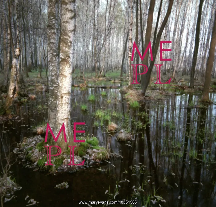: Forest of Sorcery photo art work, 1993 : Forest of Sorcery photo art work, 1993