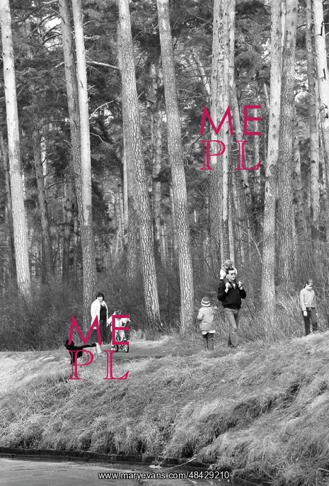 : Forest in spring, 1984 : Forest in spring, 1984