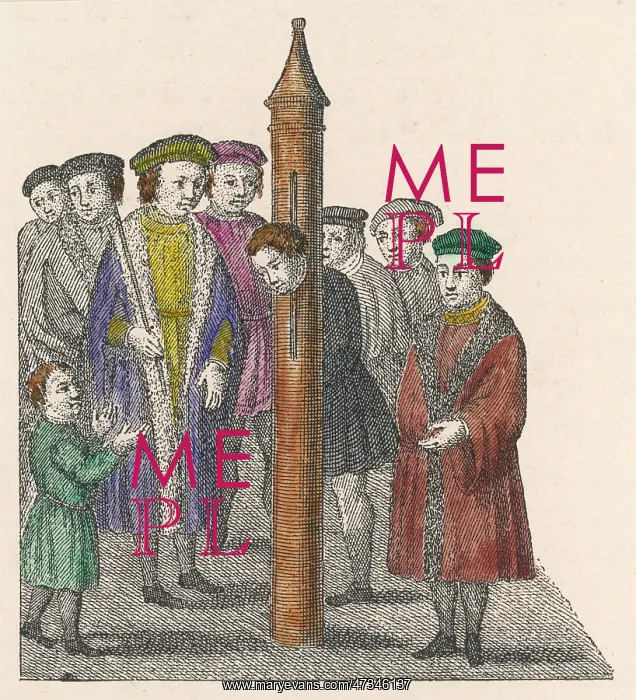 : FORESTALLER IN PILLORY : FORESTALLER IN PILLORY