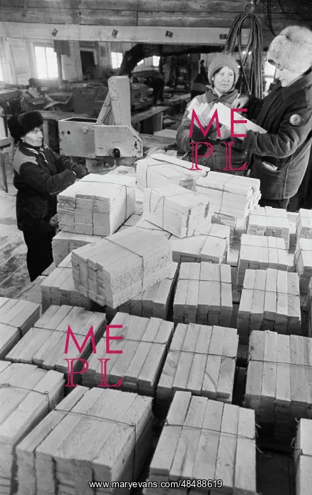 : Forestry. USSR. February 15, 1988. Products of timber workshop prior to : Forestry. USSR. February 15, 1988. Products of timber workshop prior to