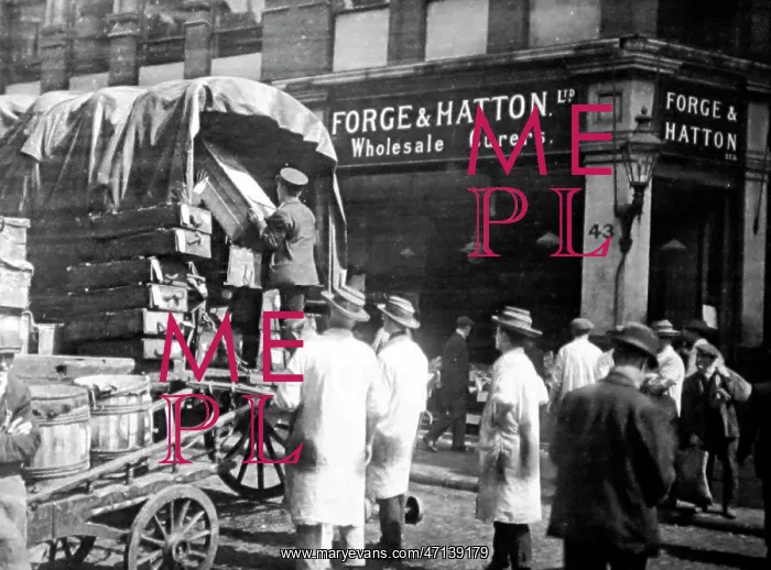 : Forge and Hatton, Wholesale Fish Curers, Billingsgate Market : Forge and Hatton, Wholesale Fish Curers, Billingsgate Market