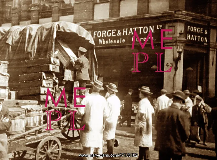 : Forge and Hatton, Wholesale Fish Curers, Billingsgate Market : Forge and Hatton, Wholesale Fish Curers, Billingsgate Market