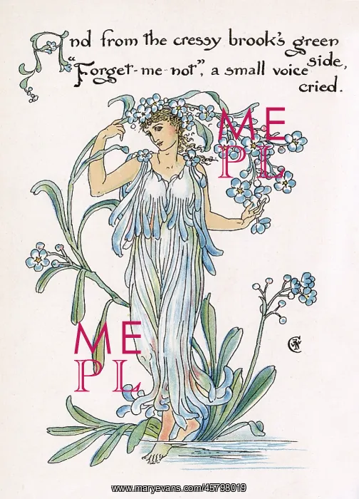 : Forget-Me-Not : Forget-Me-Not