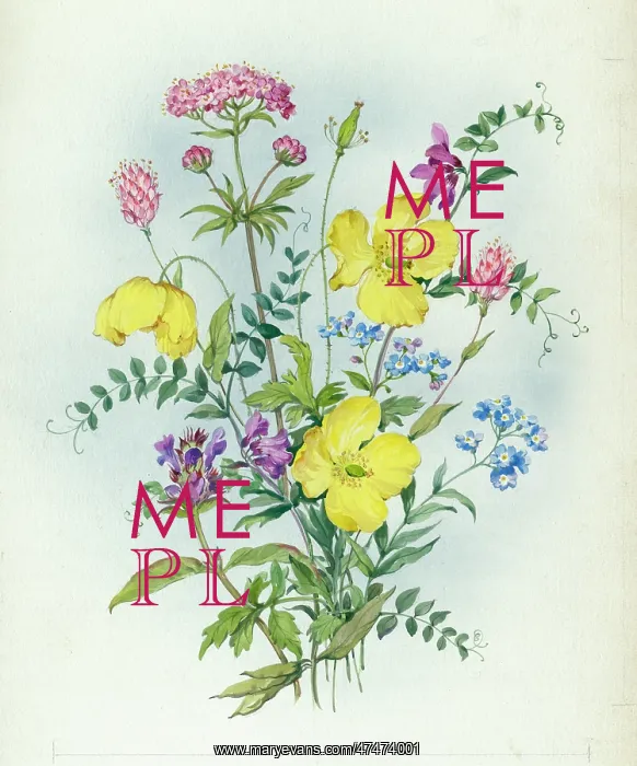  : Forget-me-nots and other assorted flowers