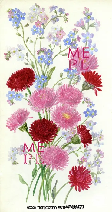  : Forget-me-nots and daisies