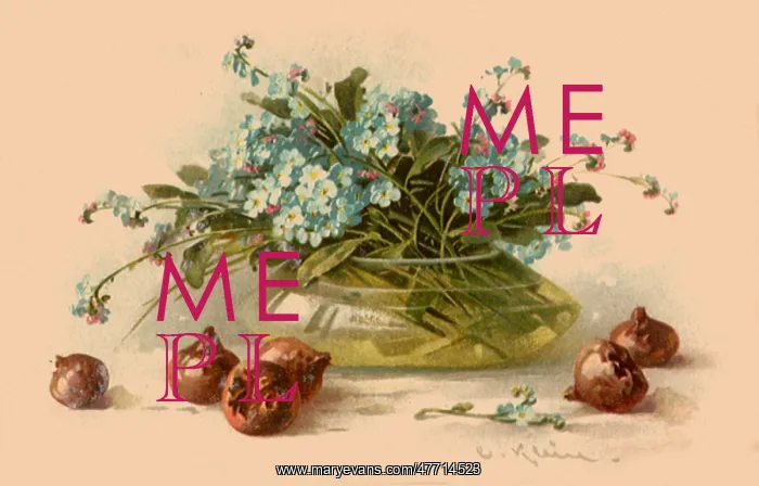 : Forget-Me-Nots and Medlars : Forget-Me-Nots and Medlars